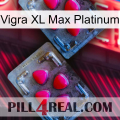 Vigra Xl Max Platinum 14